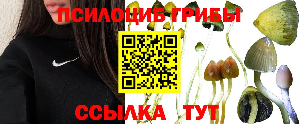 Всеволожск  Псилоцибиновые грибы Magic Shrooms  Галлюциногенные грибы мицелий  Вход с VPN 